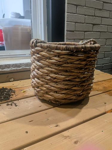 Lot #64 (1 of 4)