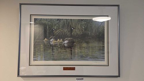 Lot #767 (1 of 11)