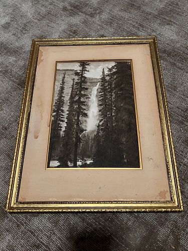 Lot #75 (1 of 6)