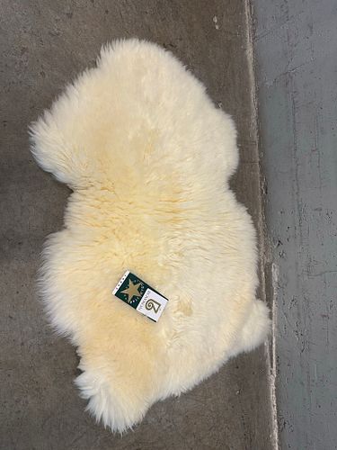 Lot #195 (1 of 2)