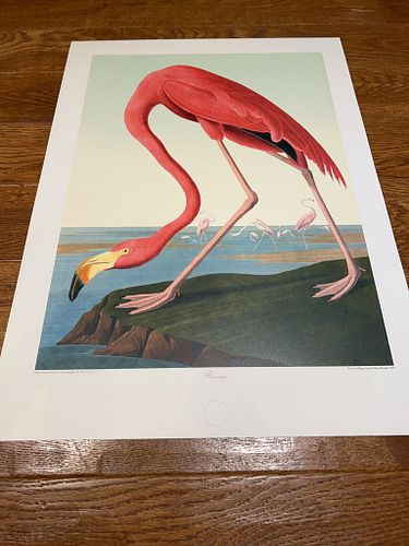 Lot #15 (1 of 5)