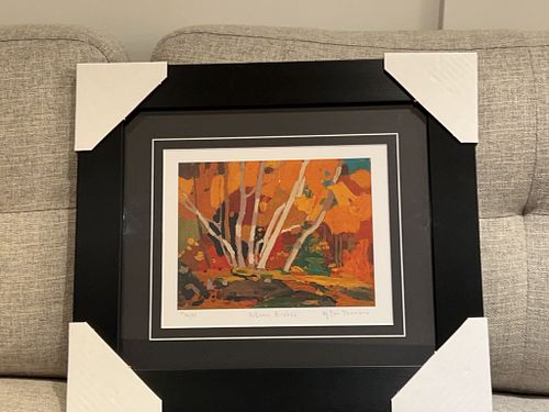 Lot #44 (1 of 6)