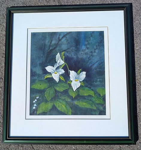 Lot #8 (1 of 10)