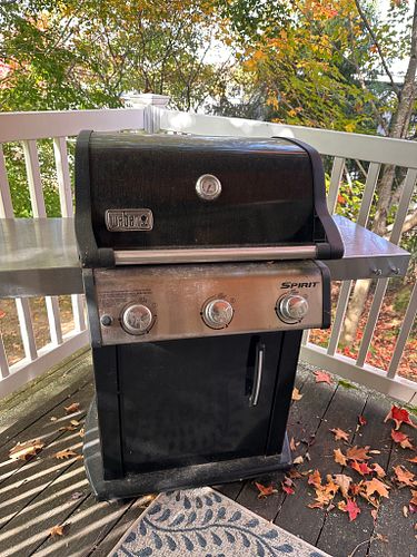 Lot #223 (1 of 3)
