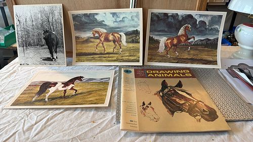 Lot #44 (1 of 16)