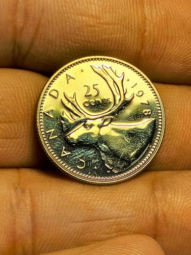Lot #12 (1 of 5)