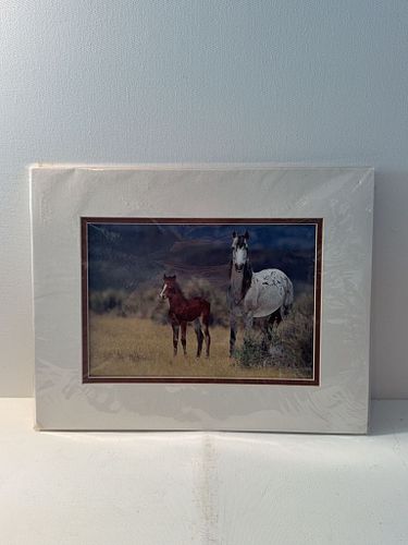 Lot #5 (1 of 3)