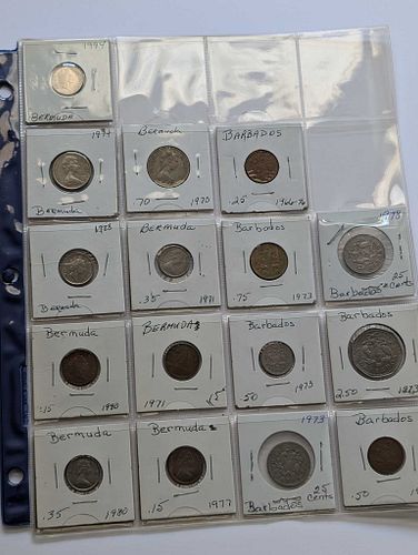 Lot #12 (1 of 12)