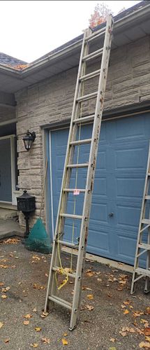 Lot #19 (1 of 8)
