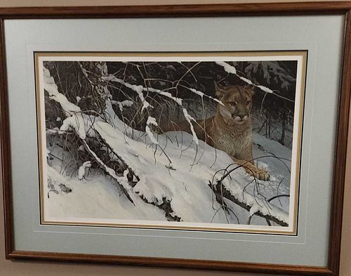Lot #54 (1 of 6)
