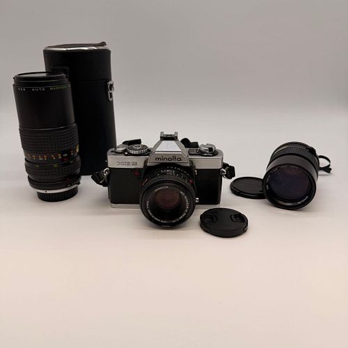 Lot #31 (1 of 20)