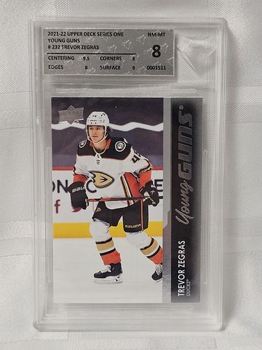 Lot #19 (1 of 12)