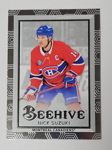 Lot #23 (1 of 13)