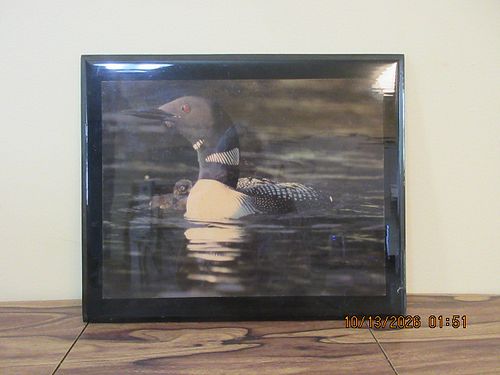 Lot #38 (1 of 3)
