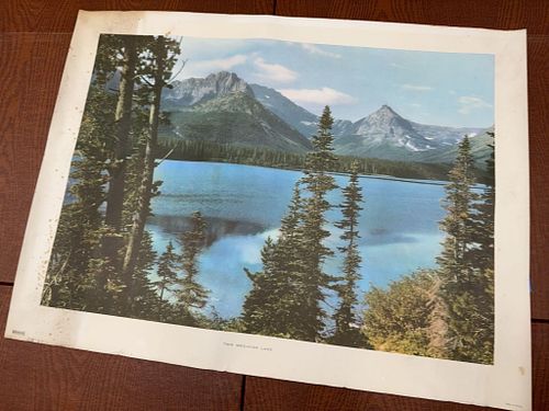 Lot #275 (1 of 9)
