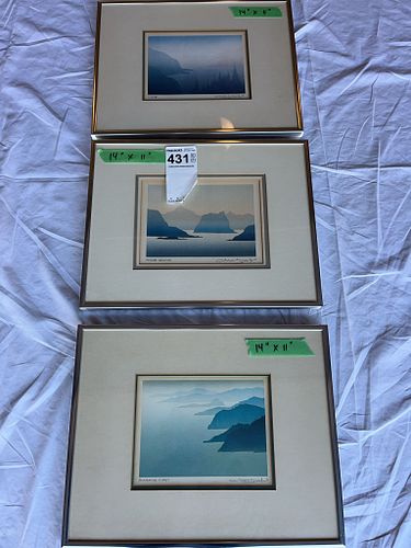 Lot #431 (1 of 8)