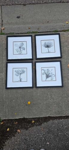 Lot #17 (1 of 5)