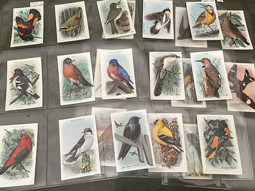 Lot #132 (1 of 5)