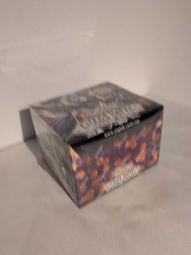 Lot #6 (1 of 3)