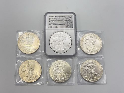 Lot #45 (1 of 6)