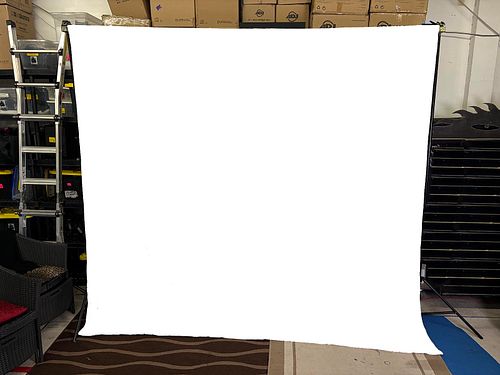 Lot #56 (1 of 4)