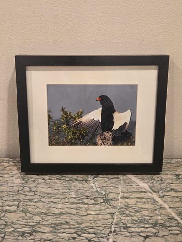 Lot #12 (1 of 8)