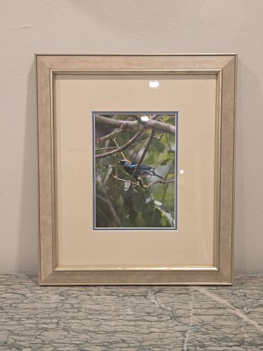 Lot #21 (1 of 8)