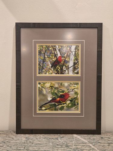 Lot #23 (1 of 10)