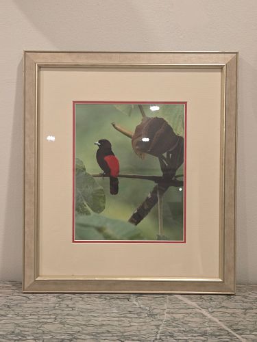 Lot #10 (1 of 8)