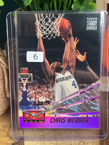 Lot #6 (1 of 2)