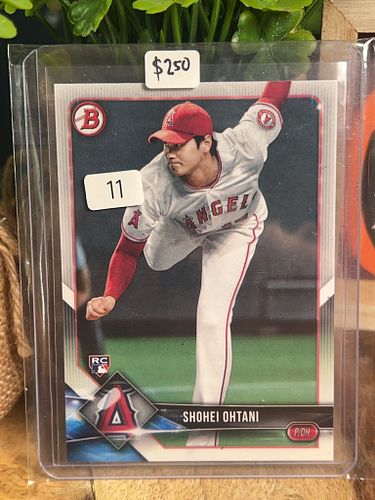 Lot #11 (1 of 2)