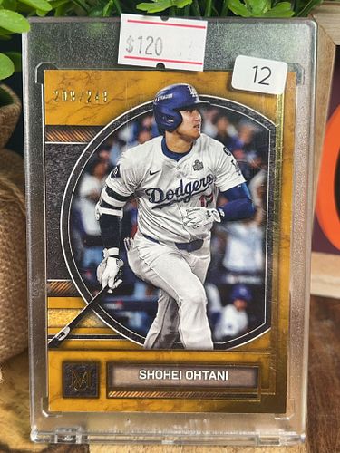 Lot #12 (1 of 3)