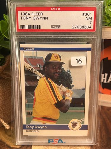 Lot #16 (1 of 2)