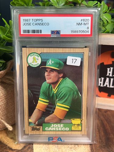 Lot #17 (1 of 2)