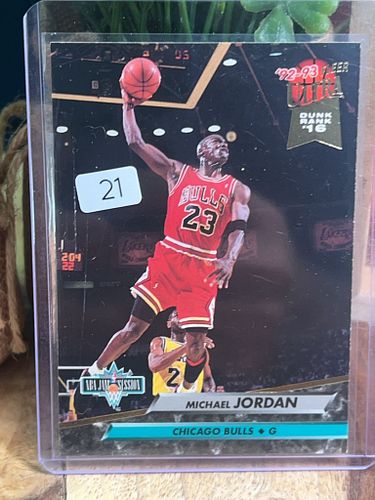 Lot #21 (1 of 2)