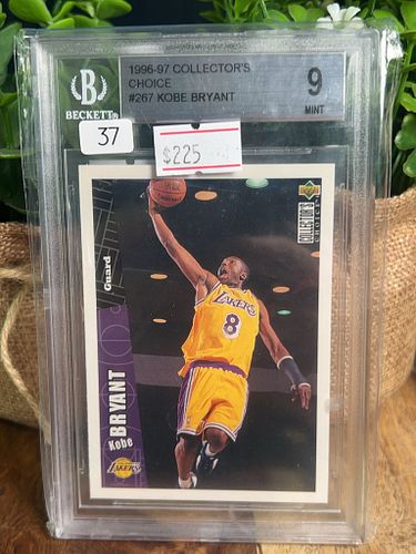Lot #37 (1 of 2)