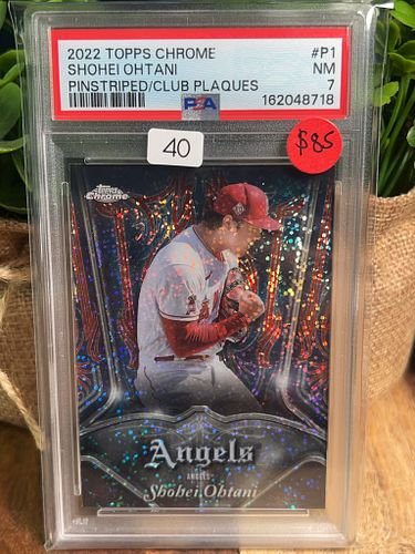 Lot #40 (1 of 2)