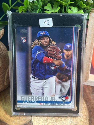 Lot #45 (1 of 2)