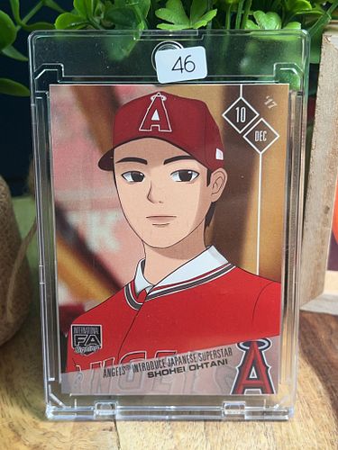 Lot #46 (1 of 2)