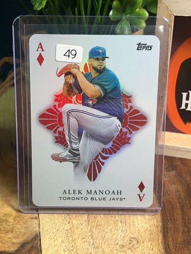 Lot #49 (1 of 2)