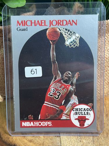 Lot #61 (1 of 2)