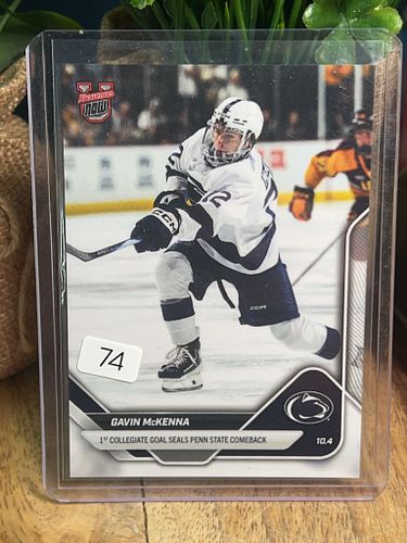 Lot #74 (1 of 2)