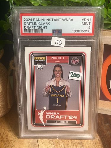 Lot #118 (1 of 2)