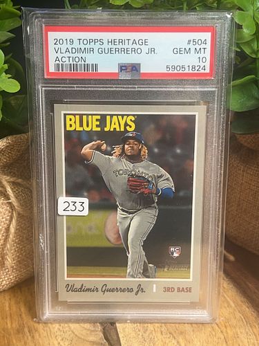 Lot #233 (1 of 2)
