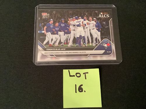 Lot #16 (1 of 3)
