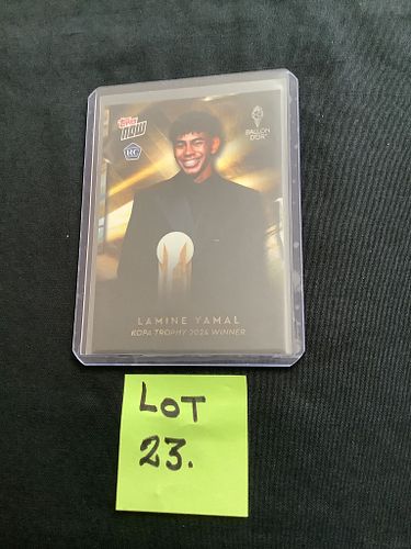 Lot #23 (1 of 3)