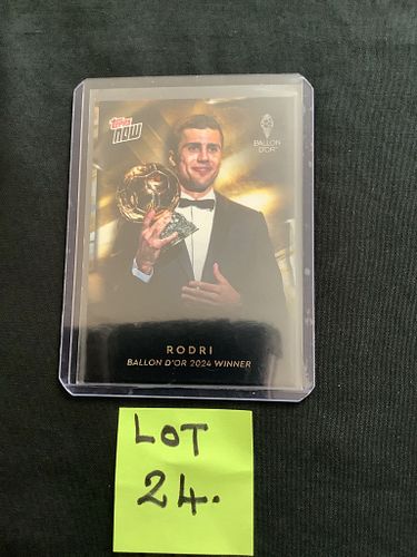 Lot #24 (1 of 3)