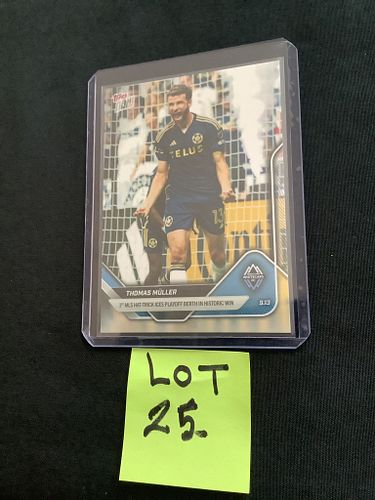 Lot #25 (1 of 3)