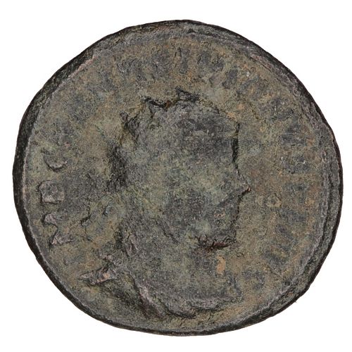 Lot #14 (1 of 2)