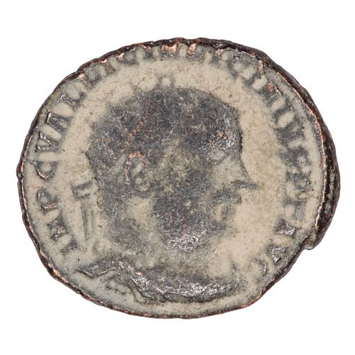 Lot #144 (1 of 2)